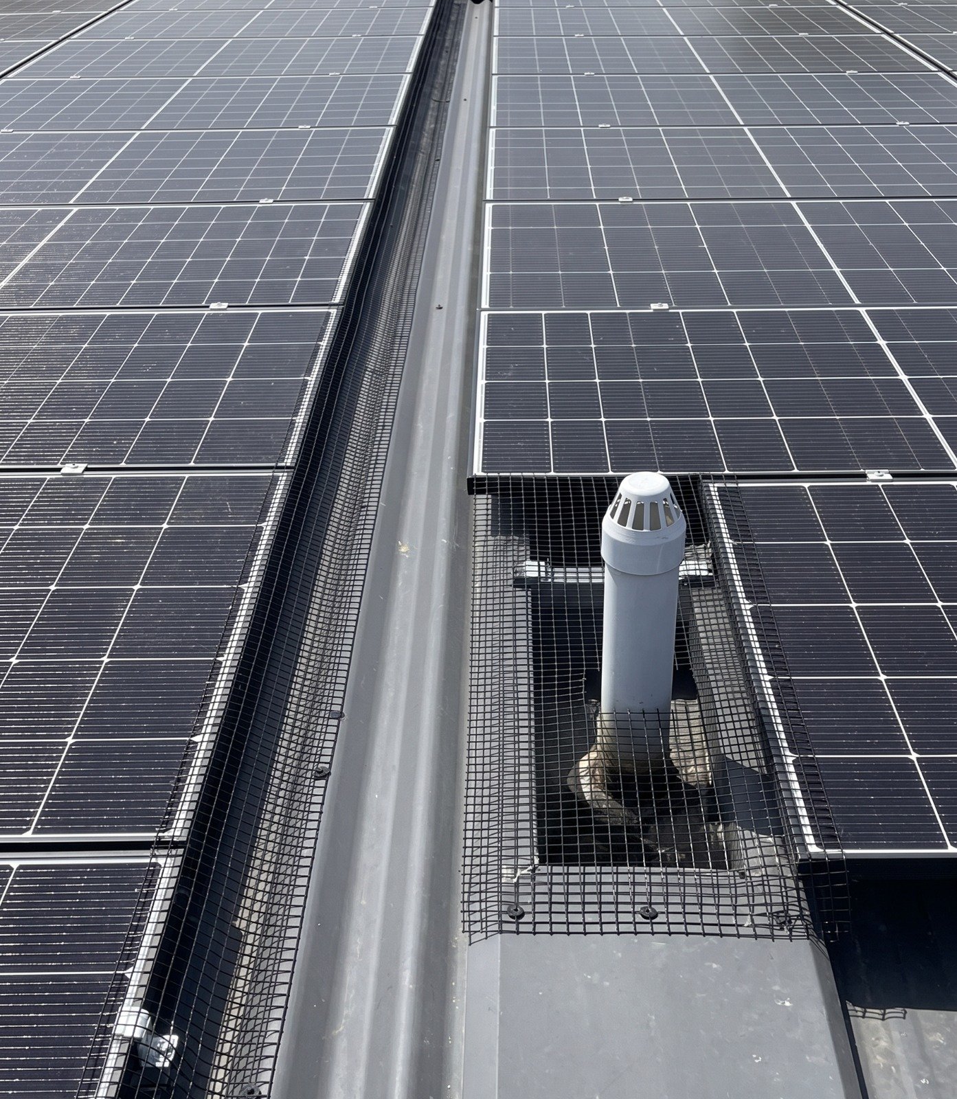 Solar Panels We've Bird Proofed 1