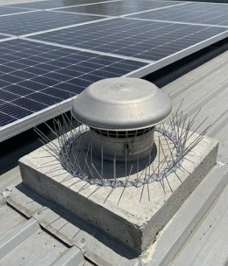 Solar Panels We've Bird Proofed 2