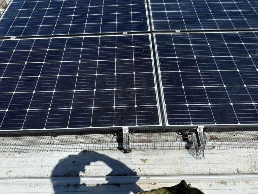 Solar Panels We've Bird Proofed 3