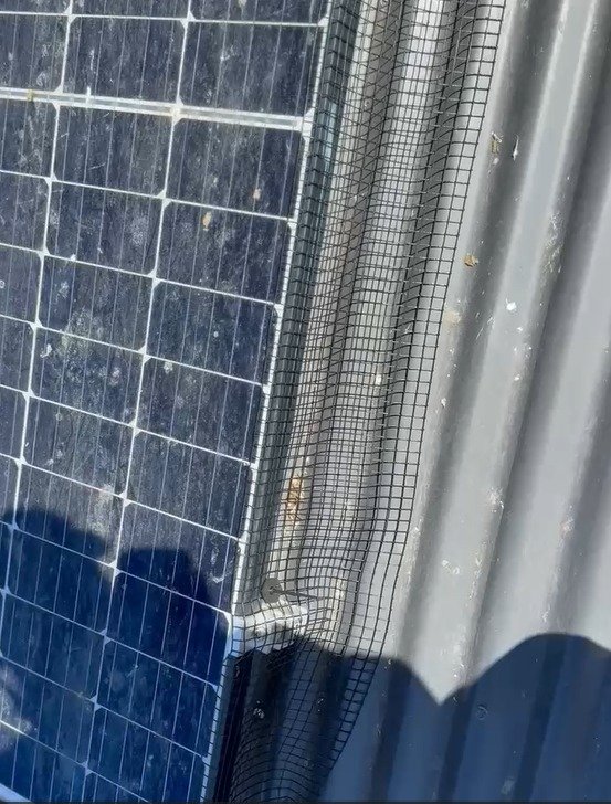 Solar Panels We've Bird Proofed 4