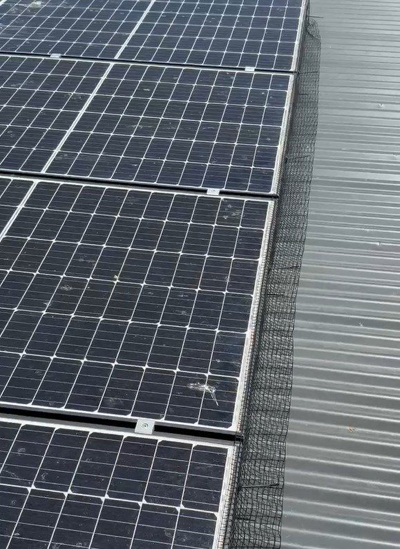 Solar Panels We've Bird Proofed 5